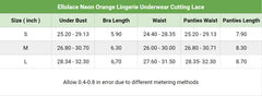 Women's Lingerie Set, Attractive Lace Chest Suspenders Bra and Panty Nightwear Outfit