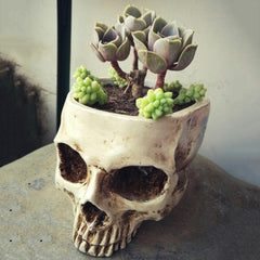 Human Skull Head Flower Pot Planter - Wonder Skull