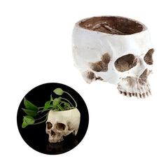 Human Skull Head Flower Pot Planter - Wonder Skull